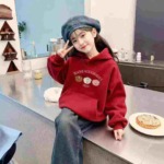 456 Pieces Kids Cotton Embroidered Hooded Sweatshirts Fleece Option Mixed Sizes 90-140 Wholesale Stock Lot - Image 6