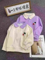 164 Pcs Kids Cotton Peter Pan Collar Terry Embroidered Sweatshirts Wholesale Stock Lot - Image 5