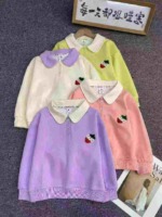 164 Pcs Kids Cotton Peter Pan Collar Terry Embroidered Sweatshirts Wholesale Stock Lot - Image 8